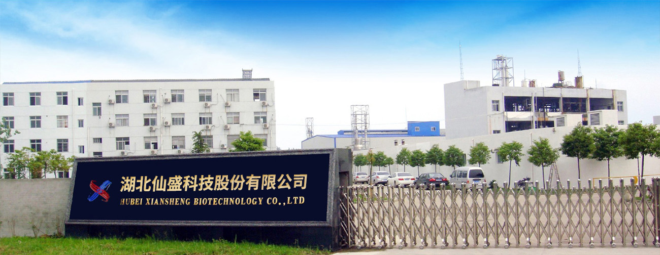 公司大門